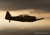 Plane